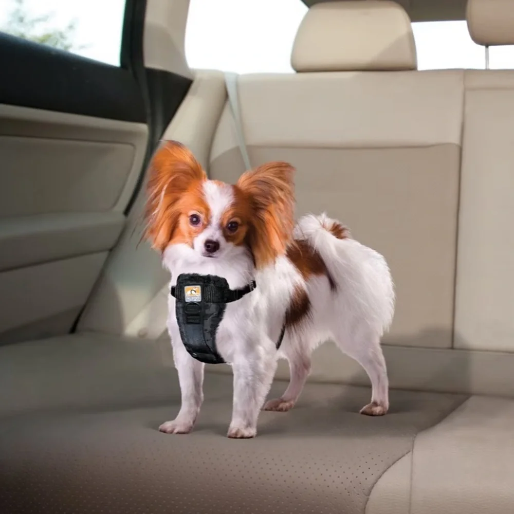 Kurgo Extra-Small Dog Harness - Picture 5 of 8